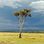 Outback Kenya